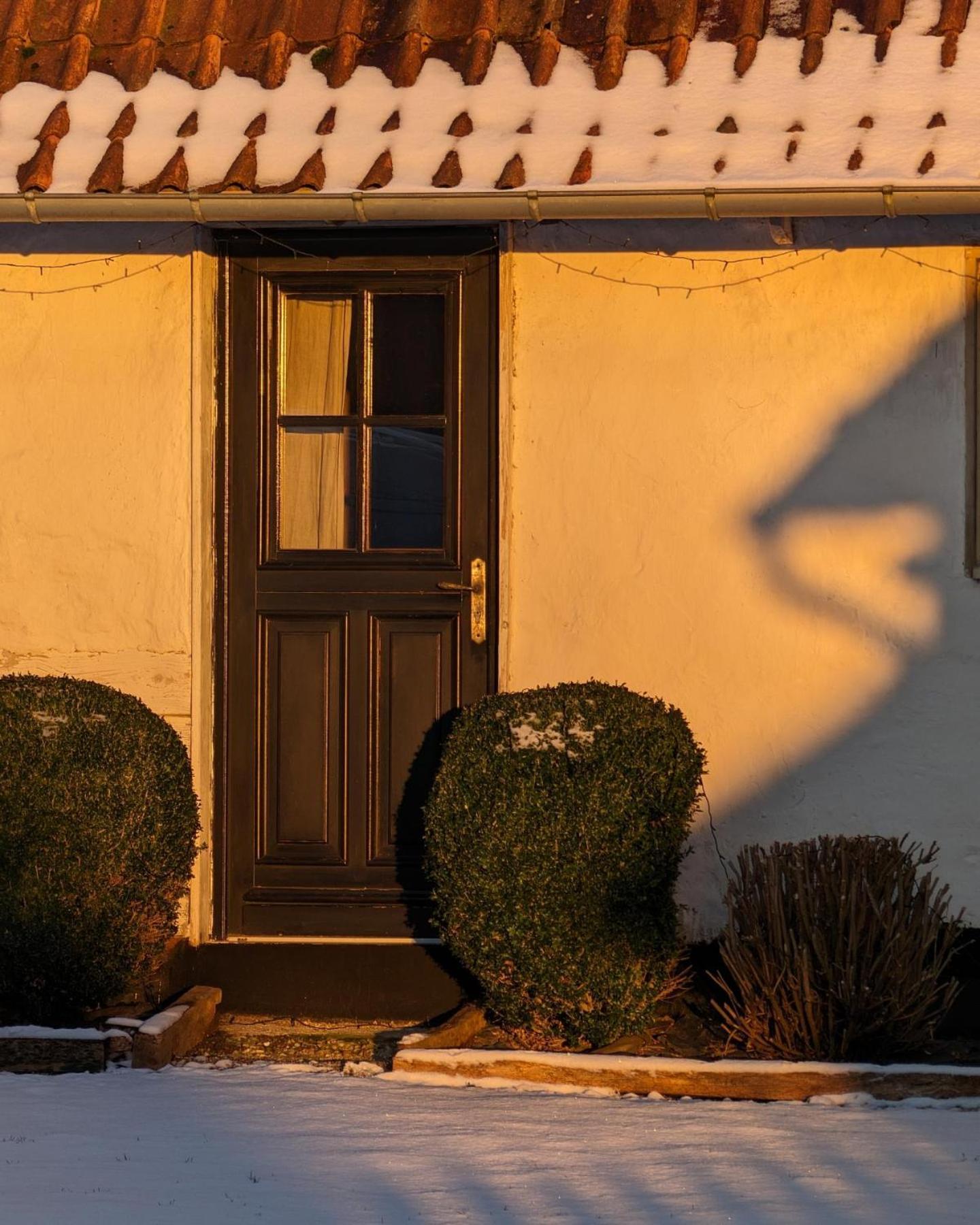 Le Roi Des Oiseaux - Gite A La Campagne Montcavrel Exteriér fotografie