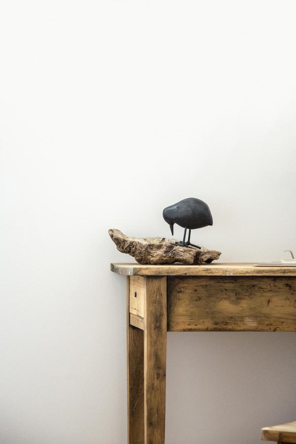 Le Roi Des Oiseaux - Gite A La Campagne Montcavrel Exteriér fotografie
